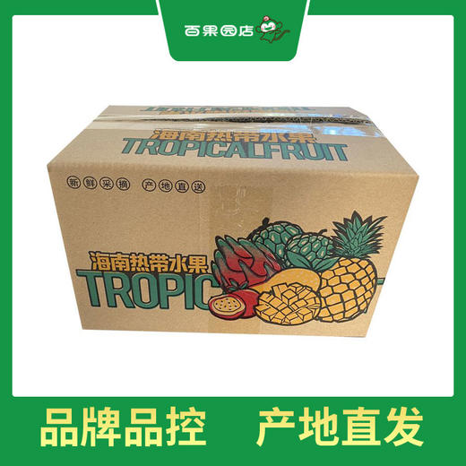 PAGODA百果园 海南金钻凤梨5斤装（单果重≥0.5kg） 商品图4