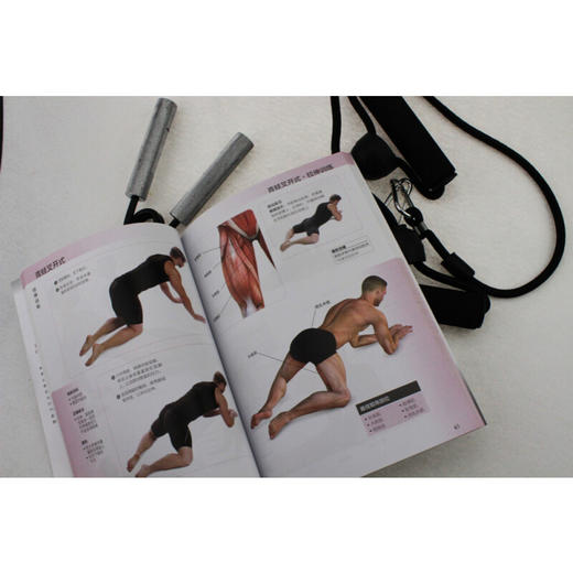 肌肉训练完全图解 拉伸训练 克雷格·拉姆齐 著 养生保健 商品图3