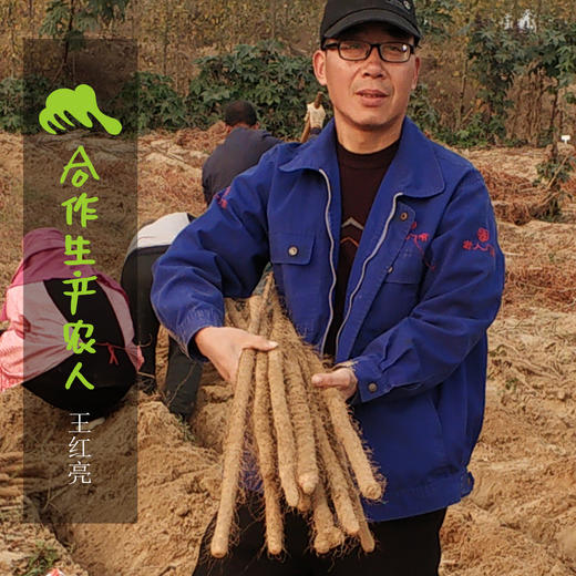 生态怀牛膝 | 合作生产 * Ecolpgical Achyranthes bidebtata | Coproduction 商品图1