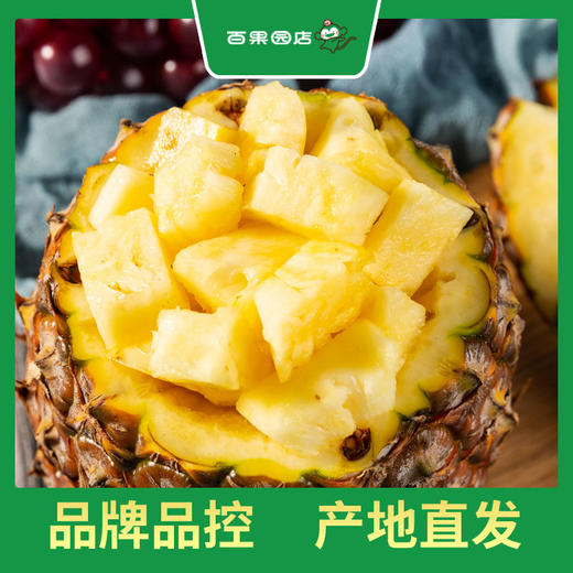 PAGODA百果园 海南金钻凤梨5斤装（单果重≥0.5kg） 商品图0