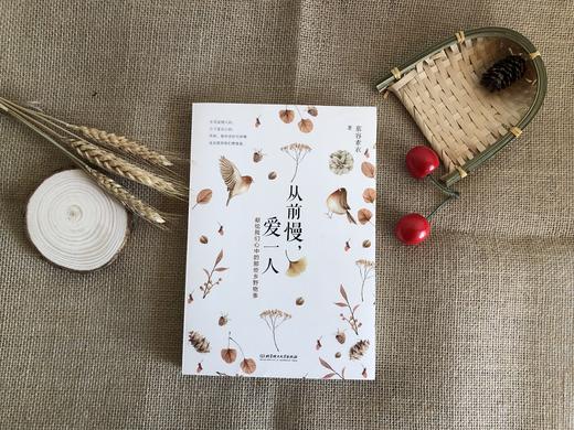 从前慢，爱一人   慕容素衣 商品图2