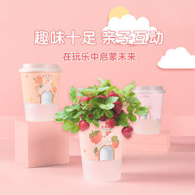 小花农种植物盆栽儿童diy办公室内创意桌面花卉绿植