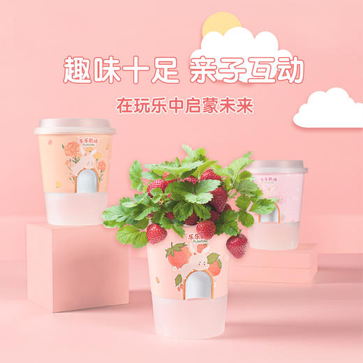 小花农种植物盆栽儿童diy办公室内创意桌面花卉绿植 商品图0