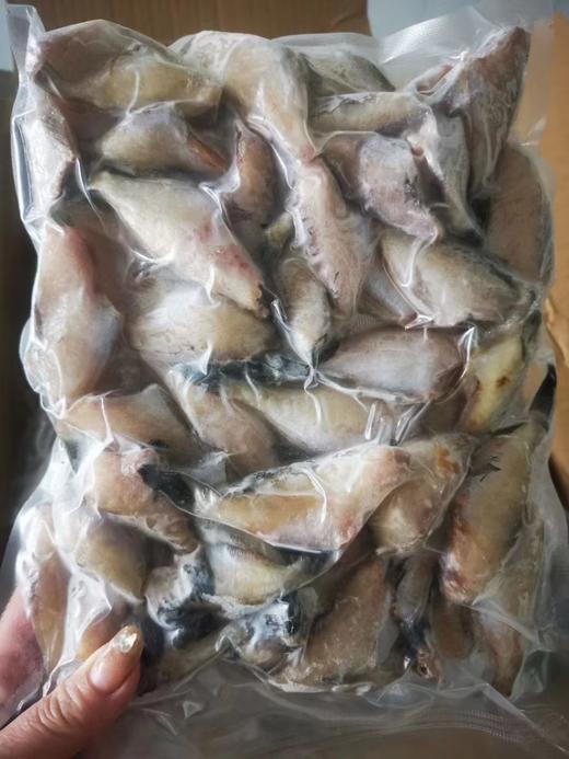 大连当地扒皮鱼 ，没有冰衣，去头去内脏去皮，适合炸着吃的鱼，小规格介意者慎拍，全国包邮 商品图4