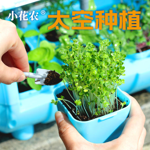 小花农太空种植仓儿童盆栽幼儿园教材学生玩具DIY 商品图1