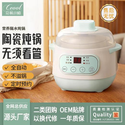 热卖全自动迷你电炖锅多功能家用小型隔水锅煲汤煮粥锅陶瓷电炖盅 商品图0