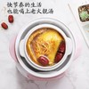 热卖全自动迷你电炖锅多功能家用小型隔水锅煲汤煮粥锅陶瓷电炖盅 商品缩略图3