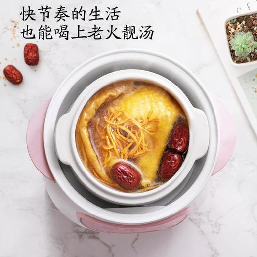 热卖全自动迷你电炖锅多功能家用小型隔水锅煲汤煮粥锅陶瓷电炖盅 商品图3