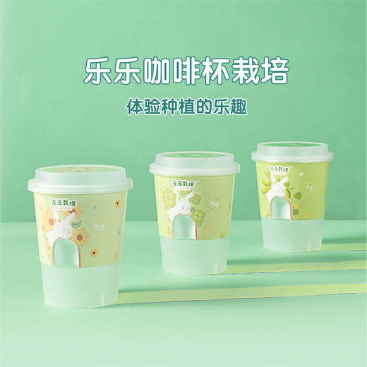 小花农种植物盆栽儿童diy办公室内创意桌面花卉绿植 商品图4