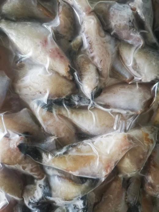 大连当地扒皮鱼 ，没有冰衣，去头去内脏去皮，适合炸着吃的鱼，小规格介意者慎拍，全国包邮 商品图3