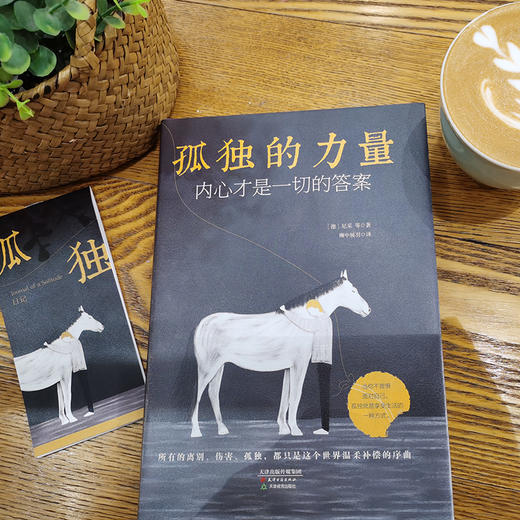 孤独的力量   尼采等 商品图1