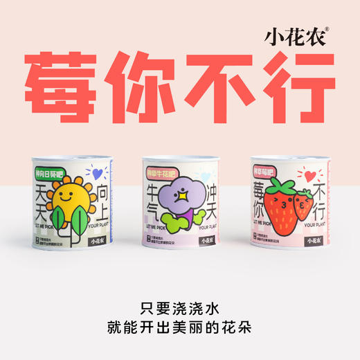 幼儿园小学种植盆栽网红款祝福盆栽绿植小花农种植摆件 商品图3