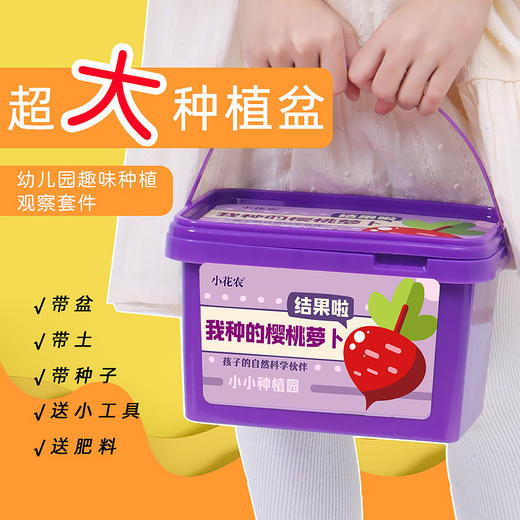 小花农小小种植园幼儿园创意伴手礼品小学生奖品diy玩具 商品图10