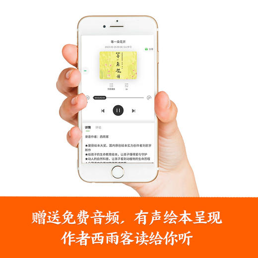 【精装】等一朵花开 商品图4