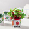 小花农儿童种植小盆栽迷你室内桌面绿植物种子盲盒长草娃娃diy玩具 商品缩略图2