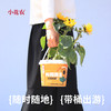 小花农超大吨吨桶种植盆栽幼儿园手工向日葵草莓diy养花养草礼物 商品缩略图2