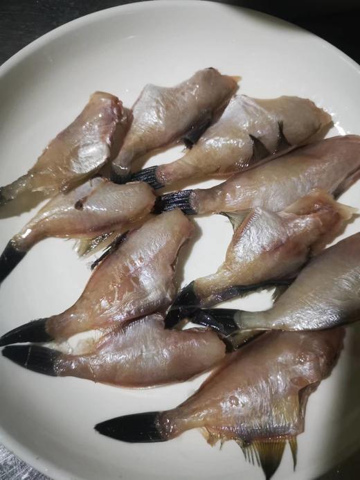 大连当地扒皮鱼 ，没有冰衣，去头去内脏去皮，适合炸着吃的鱼，小规格介意者慎拍，全国包邮 商品图1