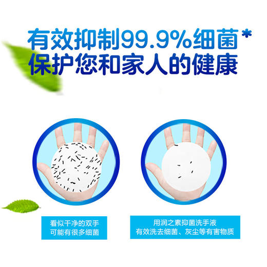 ⭐【特惠】立白润之素健康净护洗手液芦荟500g*2 商品图1