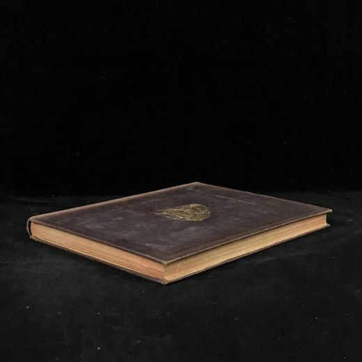 1876年 英国讽刺漫画杂志《笨拙》 数百幅插图 漆布精装16开 商品图1