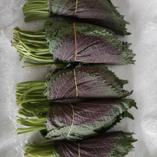 安之尚品有机紫苏100G 商品图1