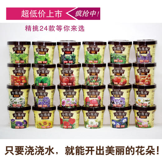 小花农春色满园DIY种植科普亲子互动玩具盆栽礼物 商品图4