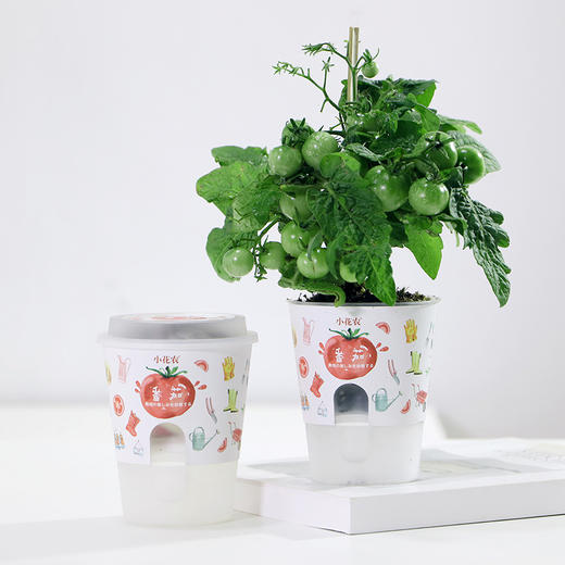 小花农自吸水系列农场盆栽植物观察发芽幼儿园儿童种植diy 商品图3