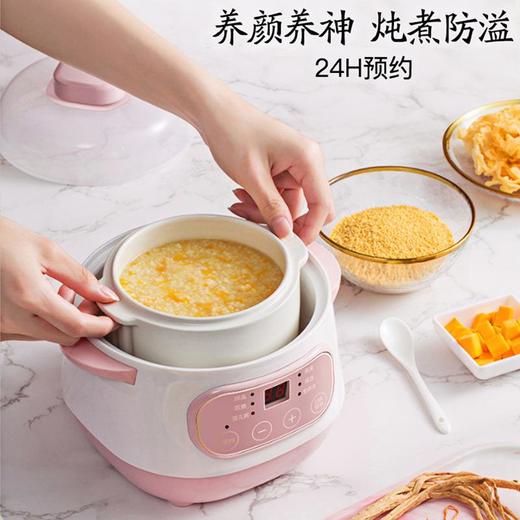 热卖全自动迷你电炖锅多功能家用小型隔水锅煲汤煮粥锅陶瓷电炖盅 商品图1