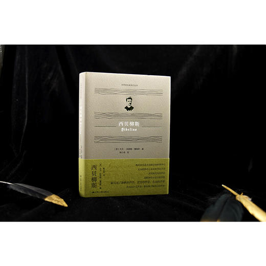 西贝柳斯 世界音乐家传记丛书 大卫·伯奈特-詹姆斯 著 传记 商品图3