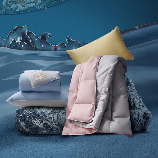 水星家纺 敦煌系列 星国潮羽绒水洗抗菌夏被 200×230cm 商品图0