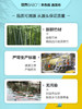 斑布BASE系列软抽135mm 100抽*24包 商品缩略图1