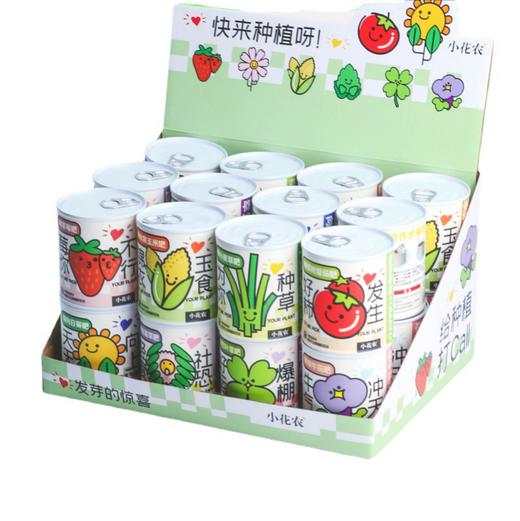 幼儿园小学种植盆栽网红款祝福盆栽绿植小花农种植摆件 商品图4