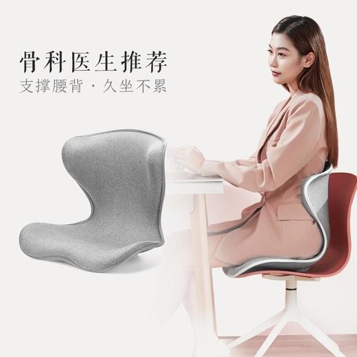 【爱莱斯护腰坐垫】减轻腰部负 担缓解腰部压力 矫正坐姿 商品图2