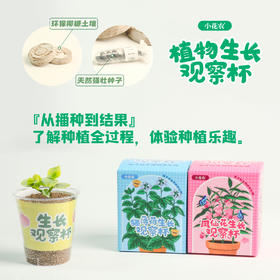 小花农植物观察杯儿童学生益智科教玩具蔬果植物花卉观察