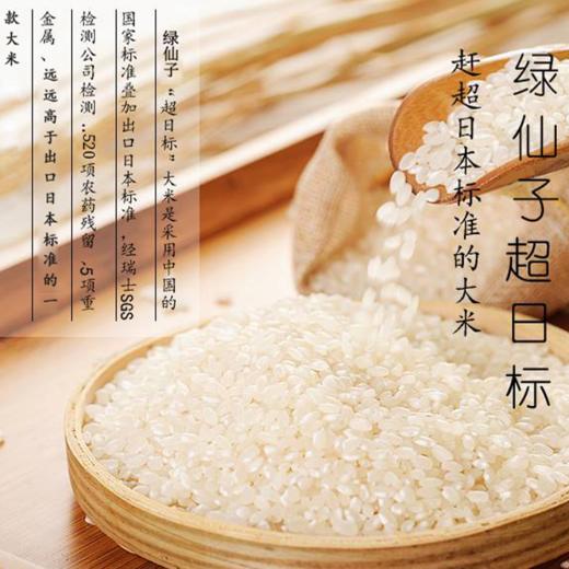 绿仙子超日标大米 南粳46 软香米粳米粥米珍珠米寿司米5kg 商品图3