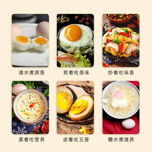 天农清远鸡鲜鸡蛋30枚 商品图5