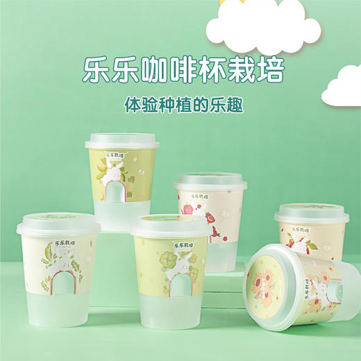 小花农种植物盆栽儿童diy办公室内创意桌面花卉绿植 商品图2