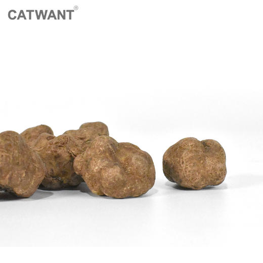 猫咪旺 虫瘿果鲜果冻干 猫咪快乐果实 酥脆可咬 商品图2