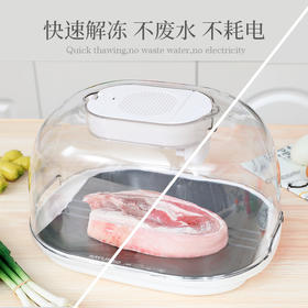 新款厨房家用食品解冻盘牛排快速解冻器又保鲜减少营养流失解冻板