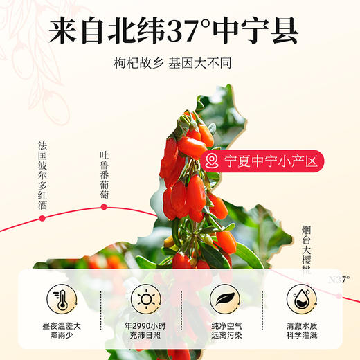 【冬季滋补】杞里香300g（15罐）礼盒装220粒中宁枸杞泡茶送礼精装精选中宁枸杞 商品图3