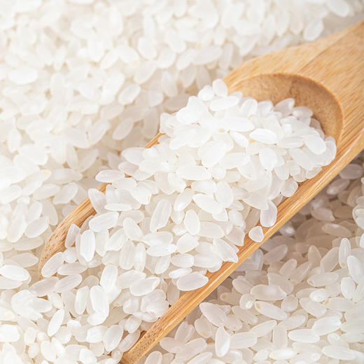 河北乐丫大米4.9公斤装 商品图3