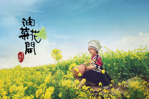 《油菜花开》季节性外景主题 商品图0