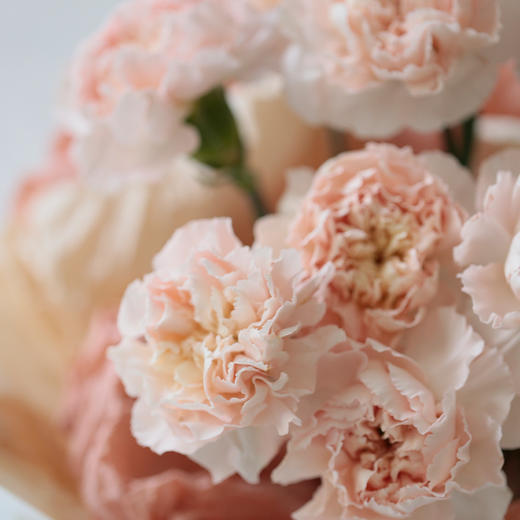 母亲节新品「花辰月夕」花束 商品图1