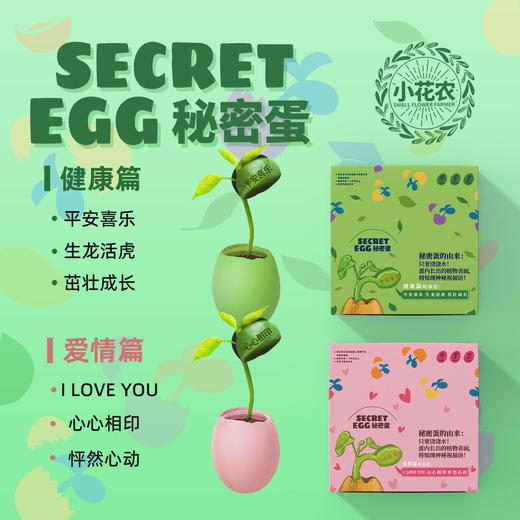 小花农种植小盆栽秘密蛋创意桌面摆件趣味励志祝福语盆栽盲盒 商品图1