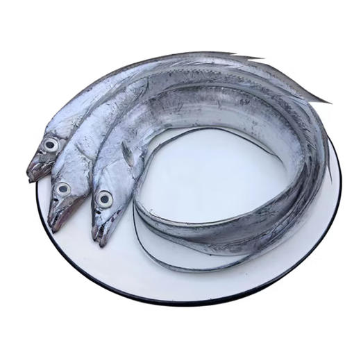 带鱼段【约500g】 商品图1