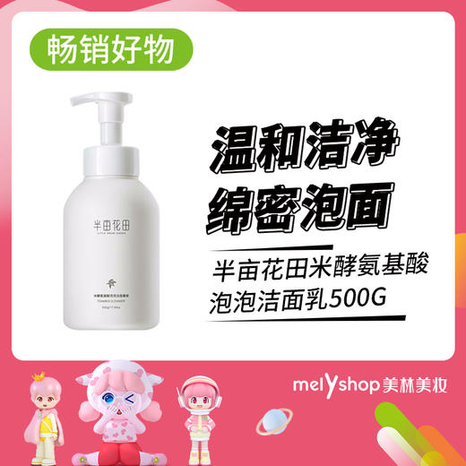 半亩花田米酵氨基酸泡泡洁面乳500g(210957) 商品图0
