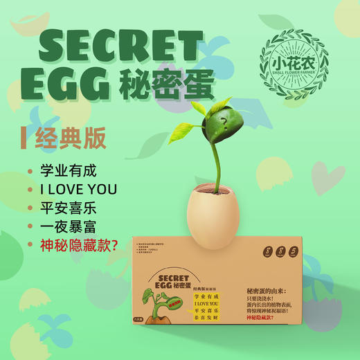 小花农种植小盆栽秘密蛋创意桌面摆件趣味励志祝福语盆栽盲盒 商品图3