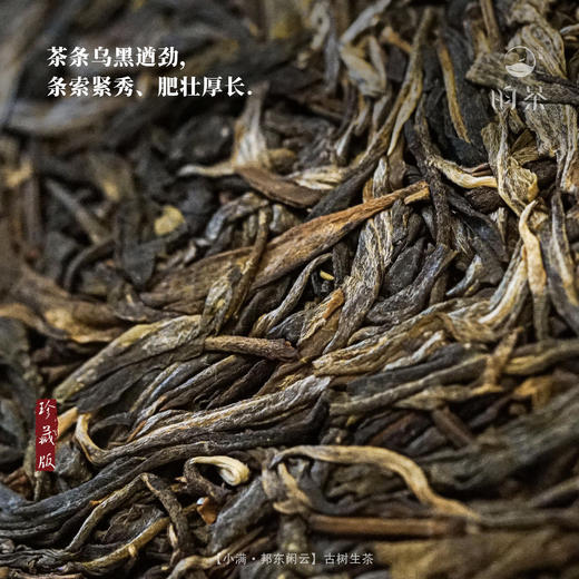 【昀茶·普洱系列】小满·2018年&2021年 邦东闲云老树生茶（ 357g/饼） 邦东老茶岩树共生 商品图8