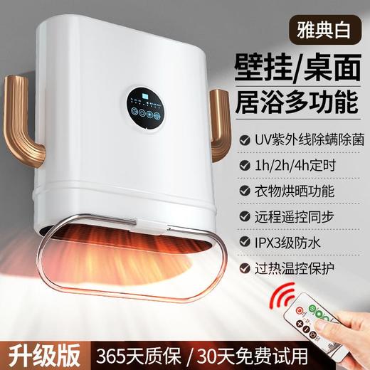 跨境新款家用暖风机壁挂式浴霸取暖器风暖大功率2100W欧规电暖器 商品图3