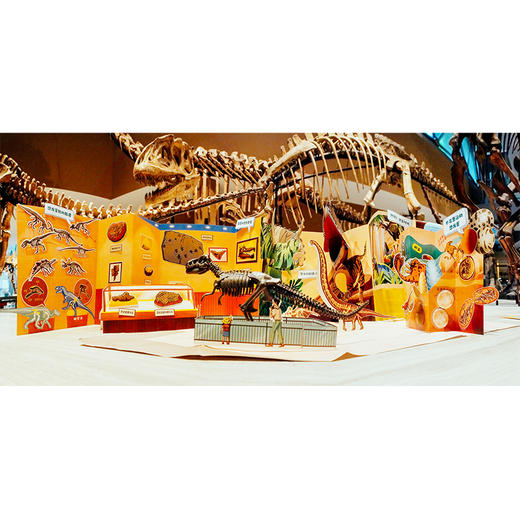 一平米博物馆：搭建我的恐龙展 盒装附导读手册 上海自然博物馆专业科普教育团队打造 商品图2