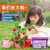小花农小小种植园幼儿园创意伴手礼品小学生奖品diy玩具 商品缩略图4